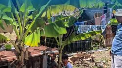 Dinkes Majene Gerak Cepat Tekan Kasus Diare & ISPA Balita di 3 Wilayah Puskesmas