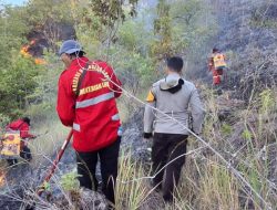 Polsek Mamuju dan Damkar Berjibaku Padamkan Kebakaran Hutan di Sumare