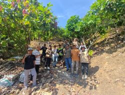 Sambut Kunjungan Bappenas, Dinas Perkebunan Sulbar Survei Sentra Kakao di Pammulukang 