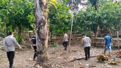Polsek Tapalang Bubarkan Judi Sabung Ayam di Lereng Gunung