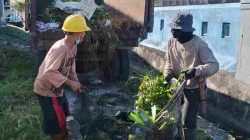 Retribusi Sampah di Majene Naik Mulai dari 60 hingga 100 Persen