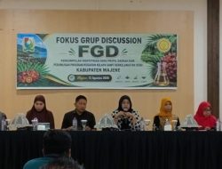 Dorong Tata Kelola Kelapa Sawit Berkelanjutan, Pemkab Majene Susun Dokumen RAD KSB 2026-2030