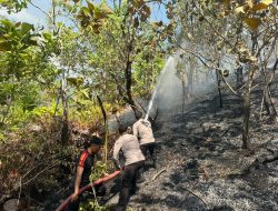 Polresta Mamuju, TNI dan Pemda Sigap Padamkan Karhutla di Desa Sumare