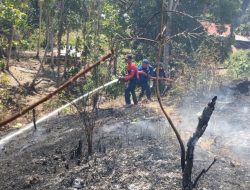 Damkar Sulbar Bersama Tim Gabungan Padamkan Kebakaran Lahan yang Ancam Pemukiman Warga di Rangas