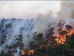 Sulbar Ditembus 3.000 Titik Panas, Gubernur SDK Imbau Warga Bersama Cegah Kebakaran