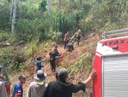 Karhutla Tawalian Mamasa Bakar 2 Hektare Lahan