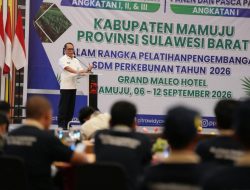 Potensi Sawit Sulbar Besar, Pemprov Fokus Tingkatkan Kualitas Petani