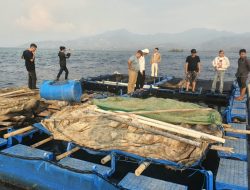 Dari Laut Karampuang, Ada Cerita Tentang Potensi Perikanan yang Menjanjikan
