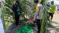 Identitas Mayat di Pantai Dato di dusun Desa Sampaga Berhasil Diungkap