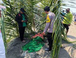 Identitas Mayat di Pantai Dato di dusun Desa Sampaga Berhasil Diungkap