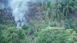 Kebun Warga di Bukit Kalubibing Terbakar, Polda Sulbar Gerak Cepat Padamkan Amukan Sijago Merah