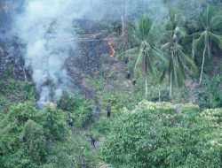 Kebun Warga di Bukit Kalubibing Terbakar, Polda Sulbar Gerak Cepat Padamkan Amukan Sijago Merah