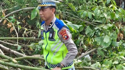 Ditlantas Polda Sulbar Evakuasi Pohon dan Tiang Lampu Tumbang Akibat Hujan Angin