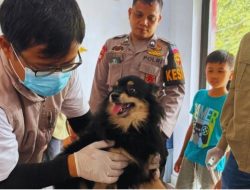 DTPHP Sulbar Gelar Vaksinasi Gratis HPR