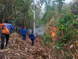 Lagi, Kebakaran Lahan Seluas 20 Hektar